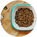 Pet Food Automation